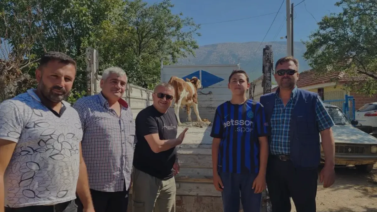 Çivril İğdir Mahallesinde Kaybolan İki Buzağı Bulundu