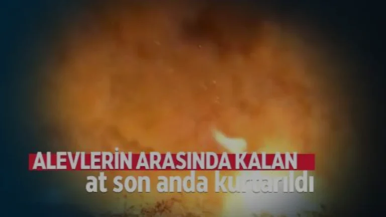 Denizli Çivril’de alevlerin arasında kalan at kurtarıldı